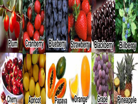 Fruits best for body health found in best health supplements